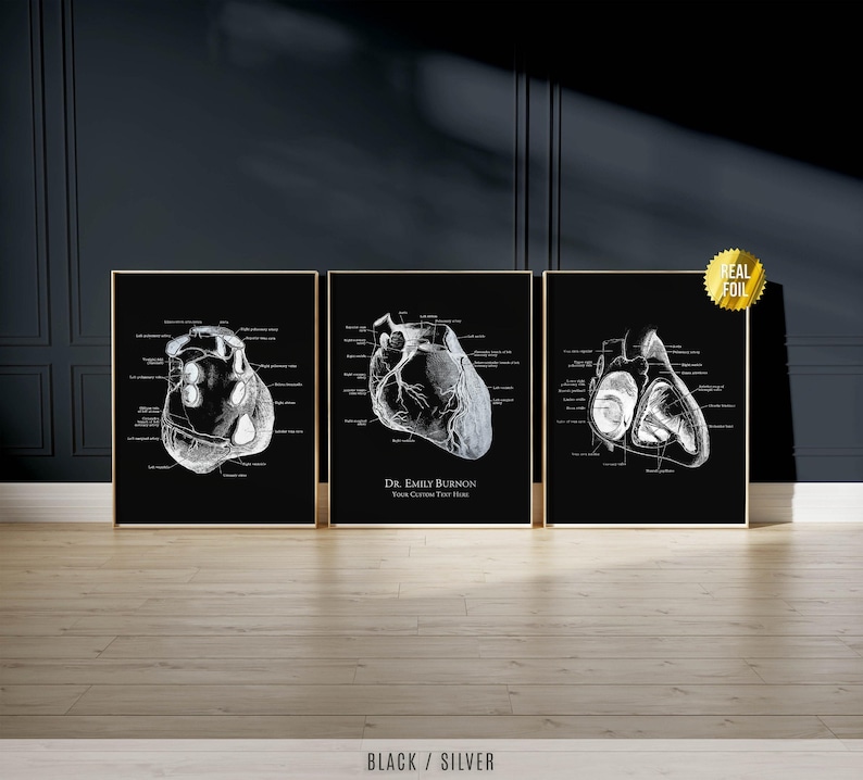 Customized Anatomical Heart Foil Print Set of 3 - Human Heart Anatomy ...