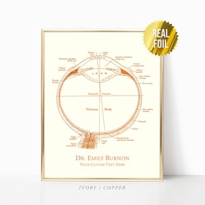 May include: A vintage medical illustration of the human eye, showing the different parts of the eye, including the cornea, lens, vitreous body, and retina. The illustration is in orange on a cream background with the text "DR. EMILY BURNON YOUR CUSTOM TEXT HERE IVORY/COPPER".