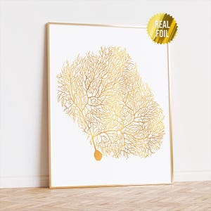 Neuron Brain Anatomy Foil Print Set of 4 - Purkinje Brain Cell Art ...
