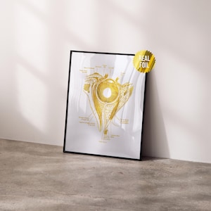 Eye and Orbit Anatomy Foil Print - Optometry Wall Art - Ophthalmologist Graduation Gifts - Optician Office Decor - Anatomy Art