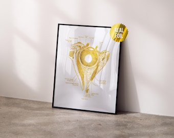 Eye and Orbit Anatomy Foil Print - Optometry Wall Art - Ophthalmologist Graduation Gifts - Optician Office Decor - Anatomy Art