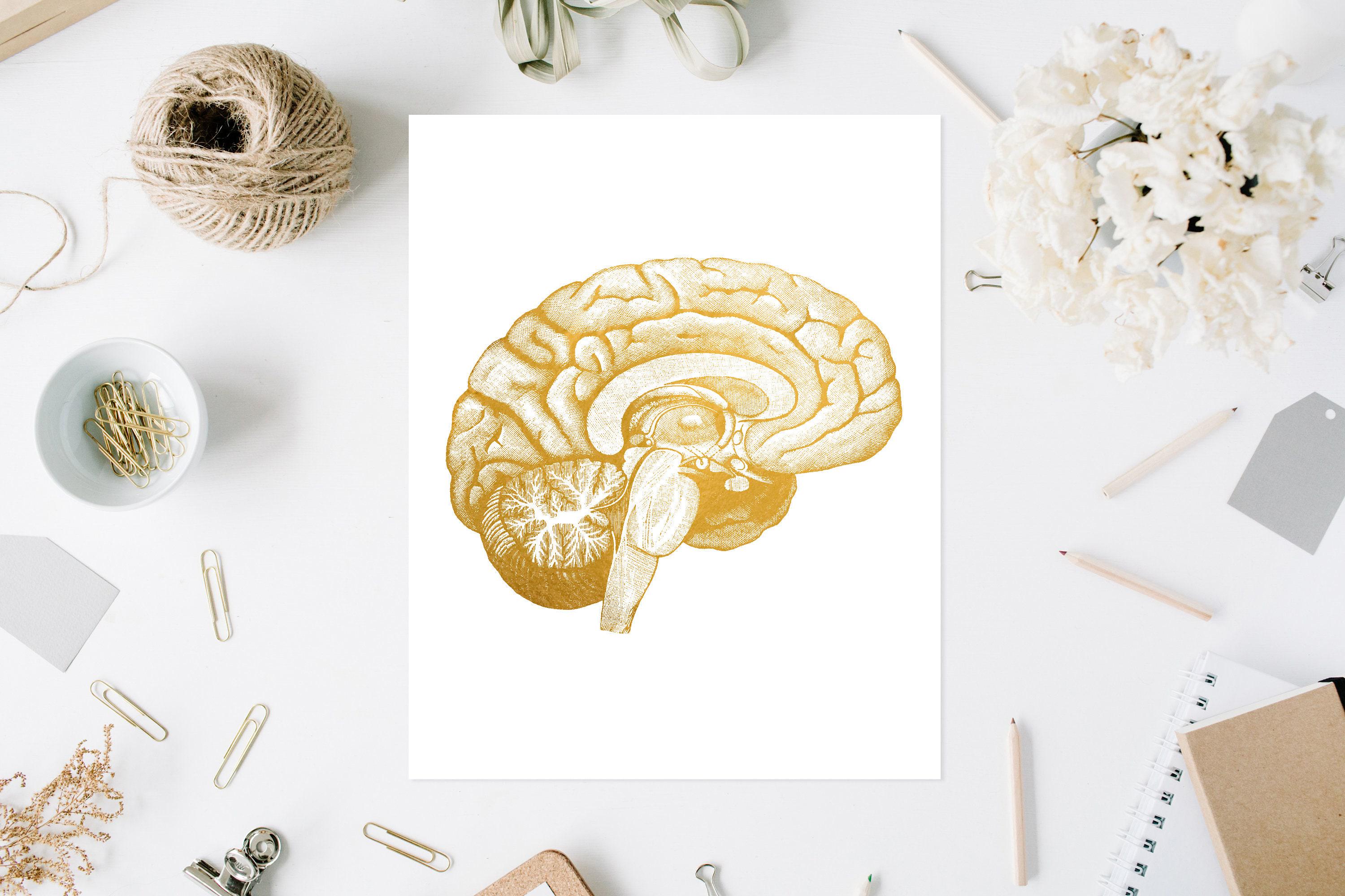 Neuroscience Art Brain Anatomy Foil Print - Medical Student Gift ...