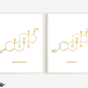 Testosterone and Estrogen Molecule Foil Print set of 2 - Endocrinology Moleule Wall Art - Nursing Student Science Decor - Medical Art