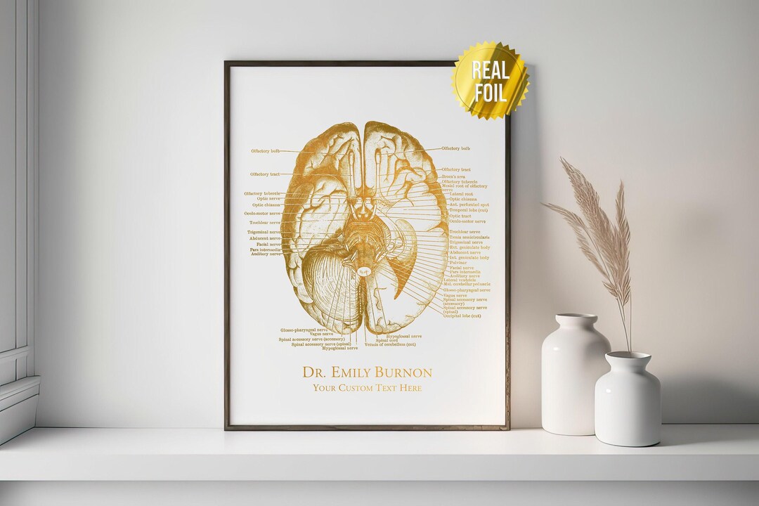 Custom Human Brain Anatomy Foil Print - Doctors Office Decor ...