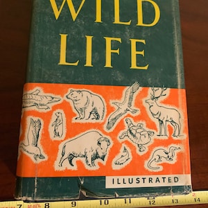 Puede incluir: Un libro verde con el título "AMERICAN WILD LIFE ILLUSTRATED" en letras amarillas. La portada presenta una variedad de animales, incluyendo un oso, un ciervo, una tortuga, un pez, un pájaro y un bisonte. El fondo es naranja.