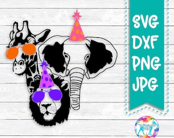 Download Zoo Birthday Svg Etsy