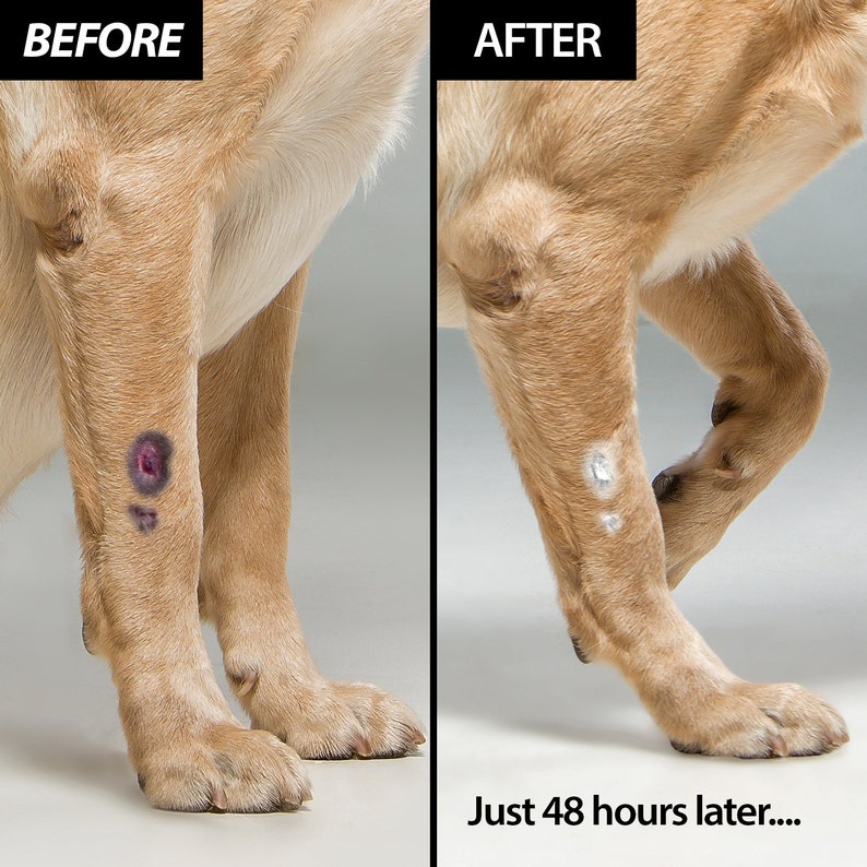 Trusted Pet Paw Balm 100 Natural Paw Soother for Dogs and Cats Paw Pad