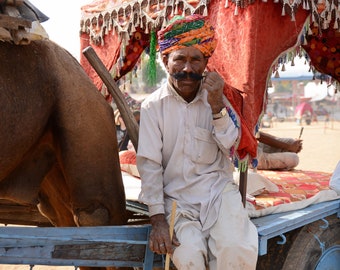 Moustache & Camel - India - Travel Photograph