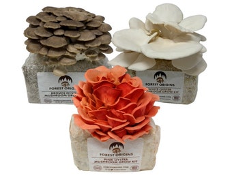 Specialty Trio Oyster Mushroom Grow Kit 3-Pack Variety - Beginner Friendly and Easy to Use - Top Gardening Gift, Holiday Gift & Unique Gift