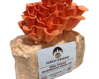 Pink Oyster Mushroom Grow Kit Indoor