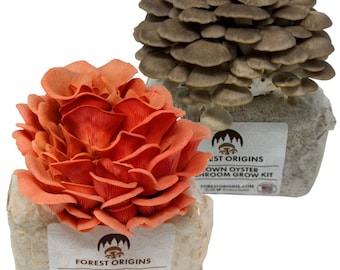 Oyster Mushroom Grow Kit (2 Pack) Indoor – Pink & Brown