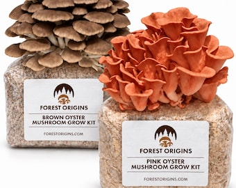 Oyster Mushroom Grow Kit (2 Pack) Indoor – Pink & Brown