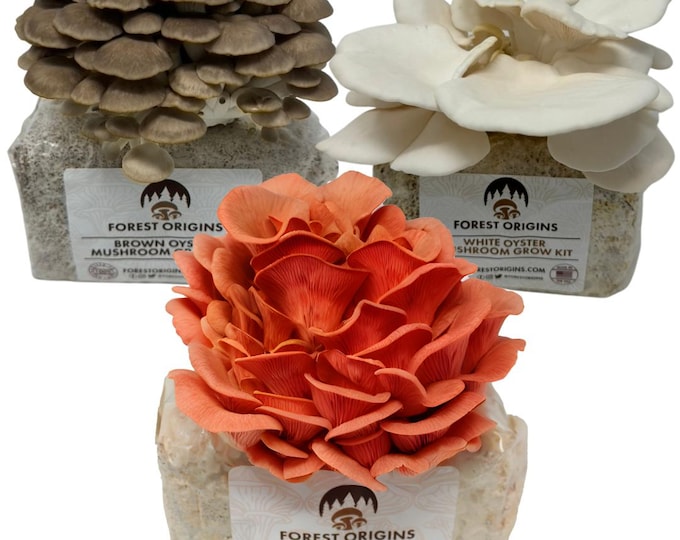 Specialty Trio Oyster Mushroom Grow Kit, Pink White & Brown 3-Pack