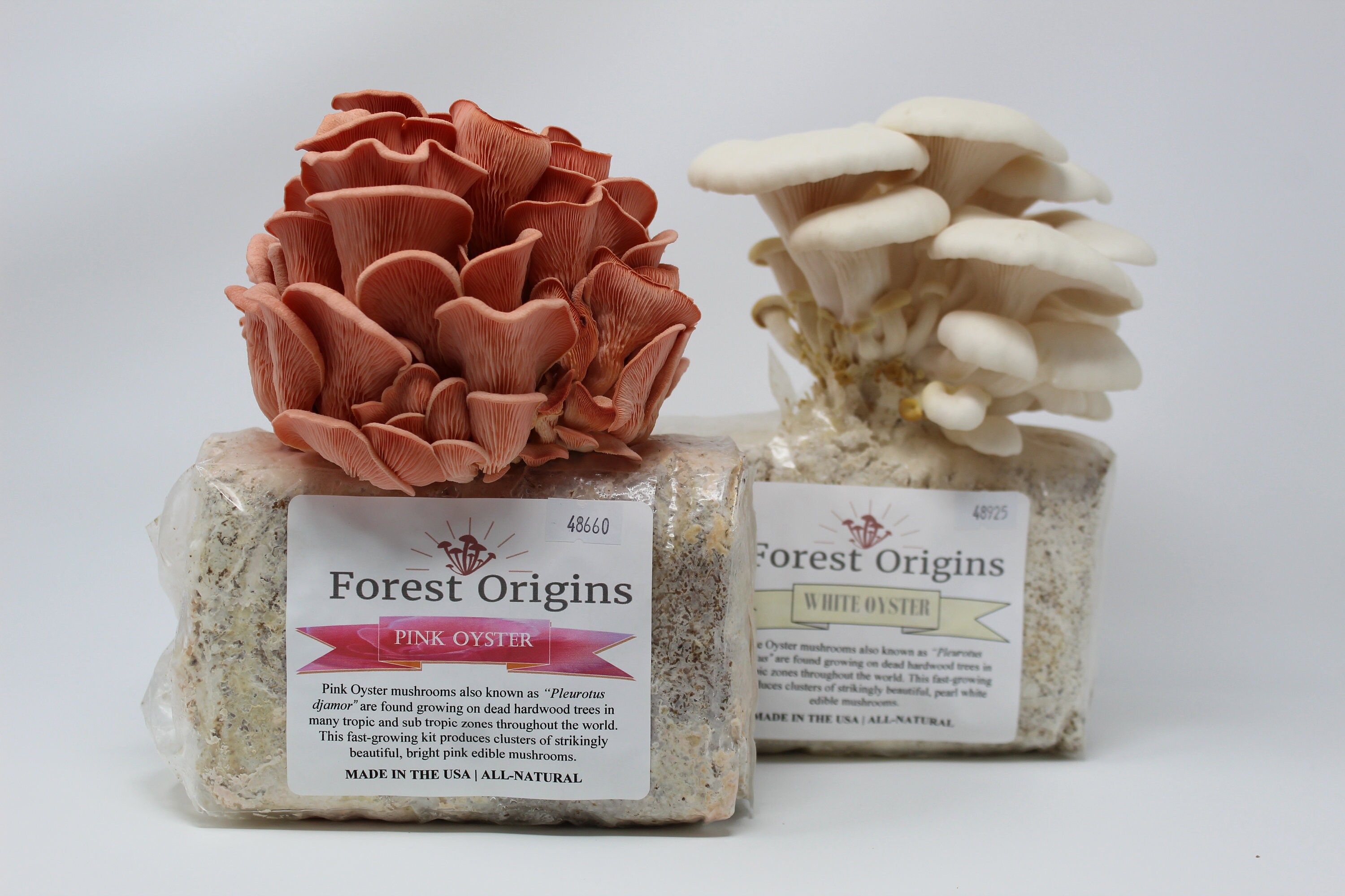 mushroom growing kit