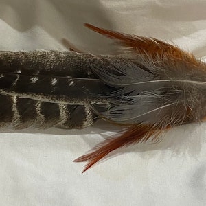 Handcrafted Feather Smudge Fan