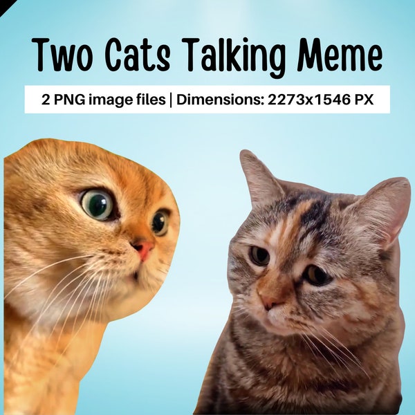 Funny Cats Talking TikTok Meme, two cats talking meme, viral cats, cats talking, orange cat meme, two cats, two cats meme, sad cat meme