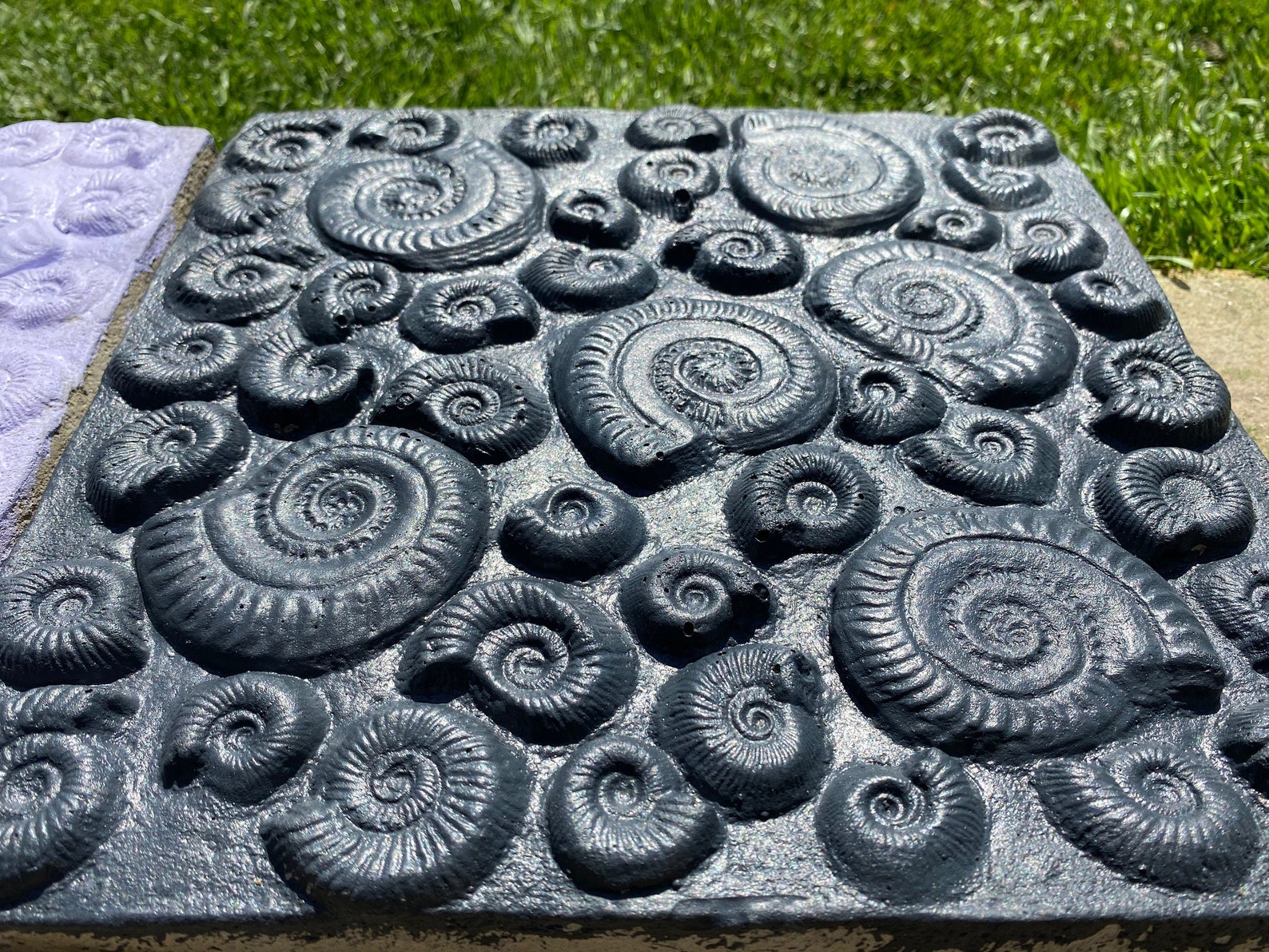 Ammonite Stepping Stone / Fossil Garden Ornament Ammonite Etsy