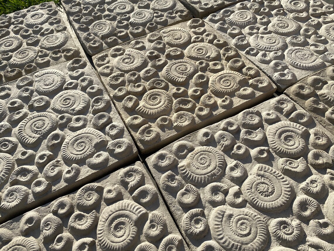 Ammonite Stepping Stone / Fossil Garden Ornament Ammonite Etsy