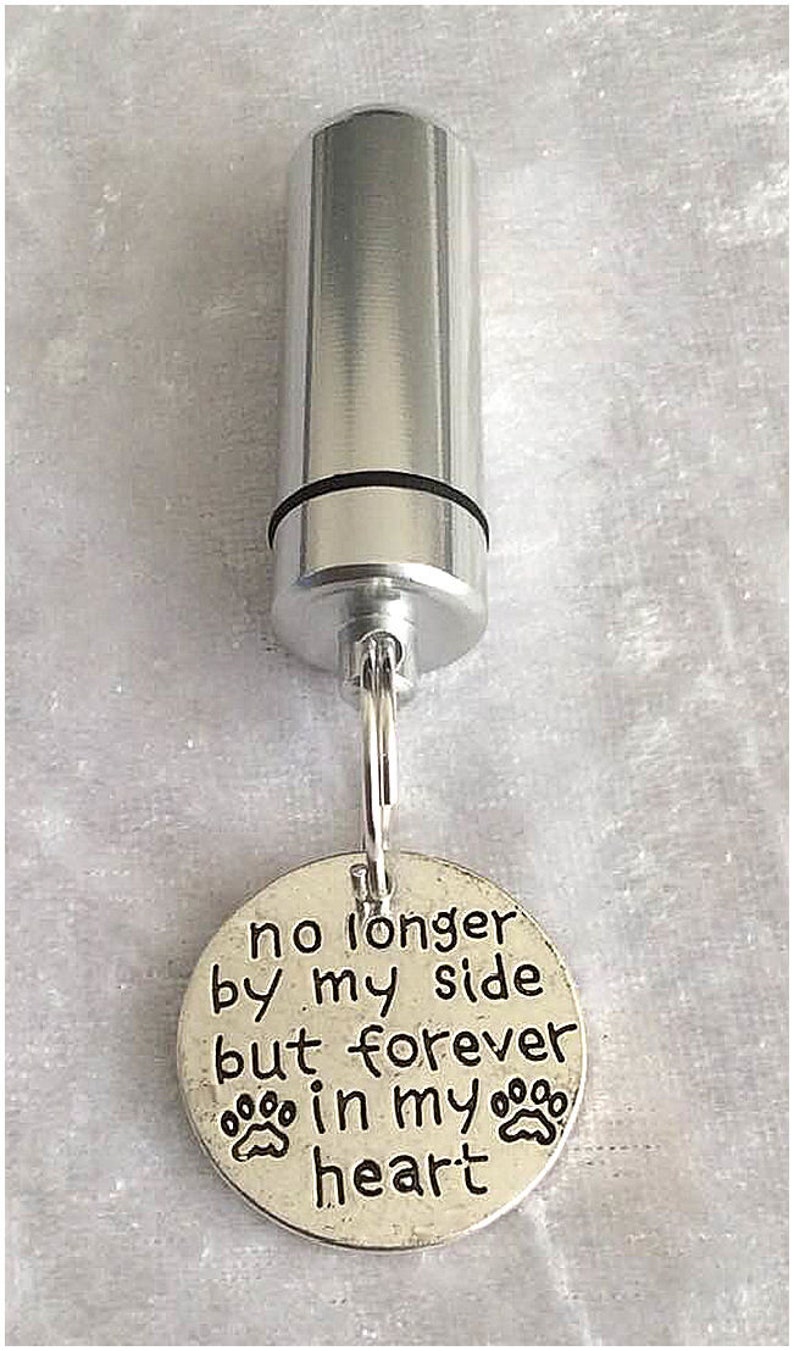 Pet Ashes Urn Jewelry W Engraved Disc Pet Cremation Jewelry  Etsy UK