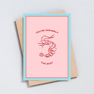 Carte d'anniversaire, carte de voeux, jeu de mots drôle avec crevettes et crevettes, carte de meilleur ami, Tina Turner, format A6 et 5 x 7 - GC512