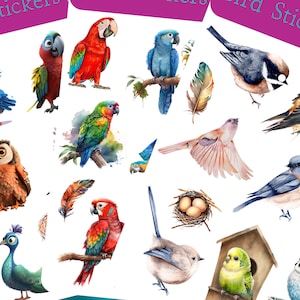 Stickers oiseaux colorés qui peuvent être utilisés pour le scrapbooking, le bricolage, les journaux indésirables, les agendas, les décalcomanies et bien d'autres choses encore.