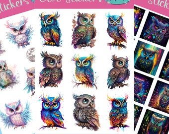 Op de afbeelding: Een set van 12 kleurrijke uil stickers. De uilen zijn afgebeeld in verschillende poses en met verschillende patronen en kleuren. De stickers zijn perfect om een vleugje whimsy toe te voegen aan laptops, waterflessen, dagboeken en meer.