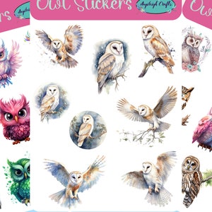 Stickers hibou uniques et colorés qui peuvent être utilisés pour le scrapbooking, le bricolage, les journaux indésirables, les agendas, les décalcomanies et bien d'autres choses encore.