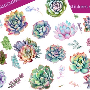 Stickers plantes succulentes qui peuvent être utilisés pour le scrapbooking, l'artisanat, les journaux indésirables, les agendas, les décalcomanies et bien d'autres choses.