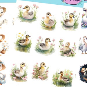 Ganzenstickers die kunnen worden gebruikt voor scrapbooking, knutselen, junkjournals, planners, stickers en nog veel meer.
