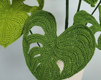 Monstera Pflanze hkeln: Fotoanleitung (PDF-Muster) - Etsy.de