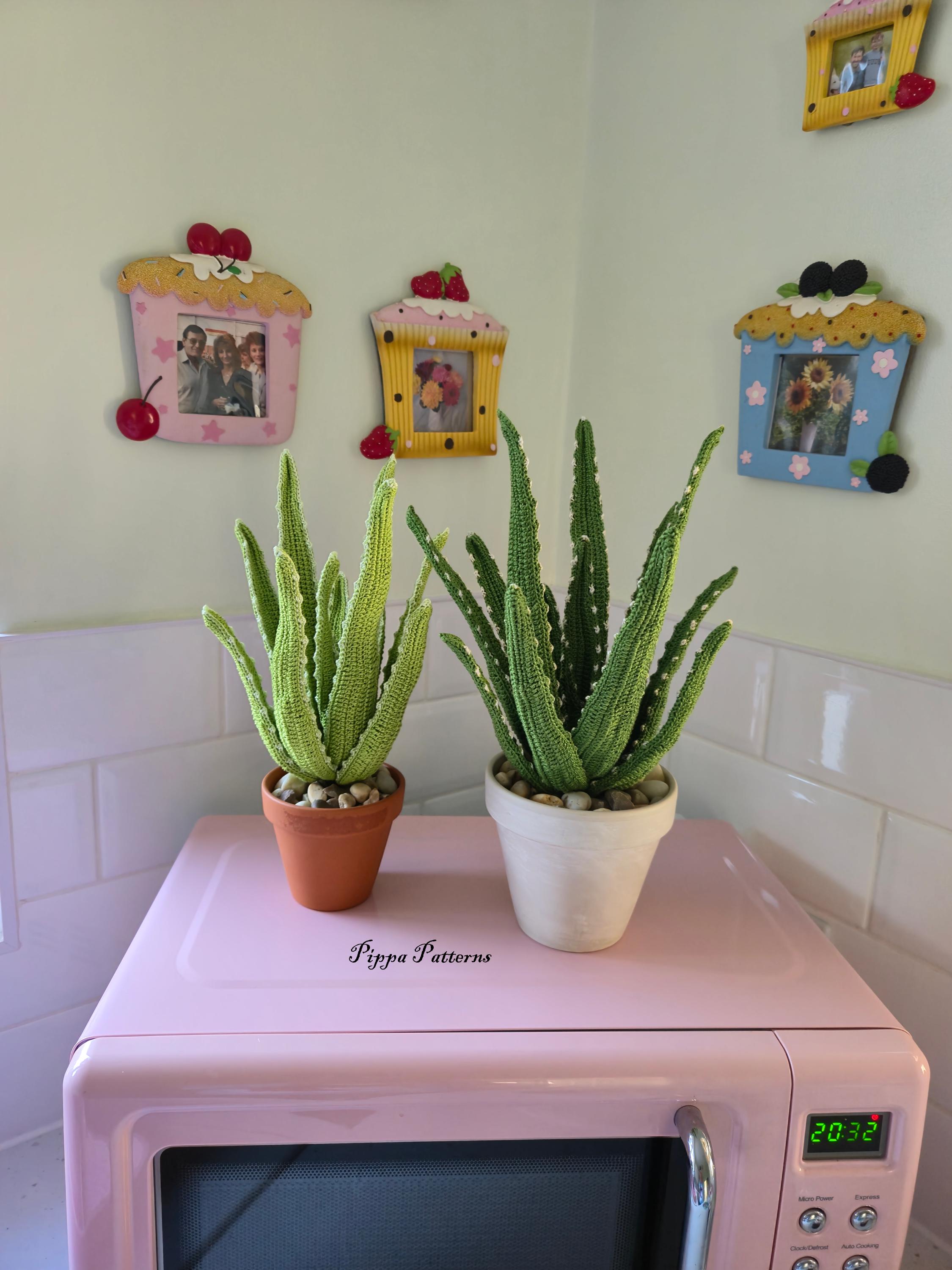 aloe vera gegen feigwarzen Purgrün Aloe-Vera-Dünger 1 Liter main image 1