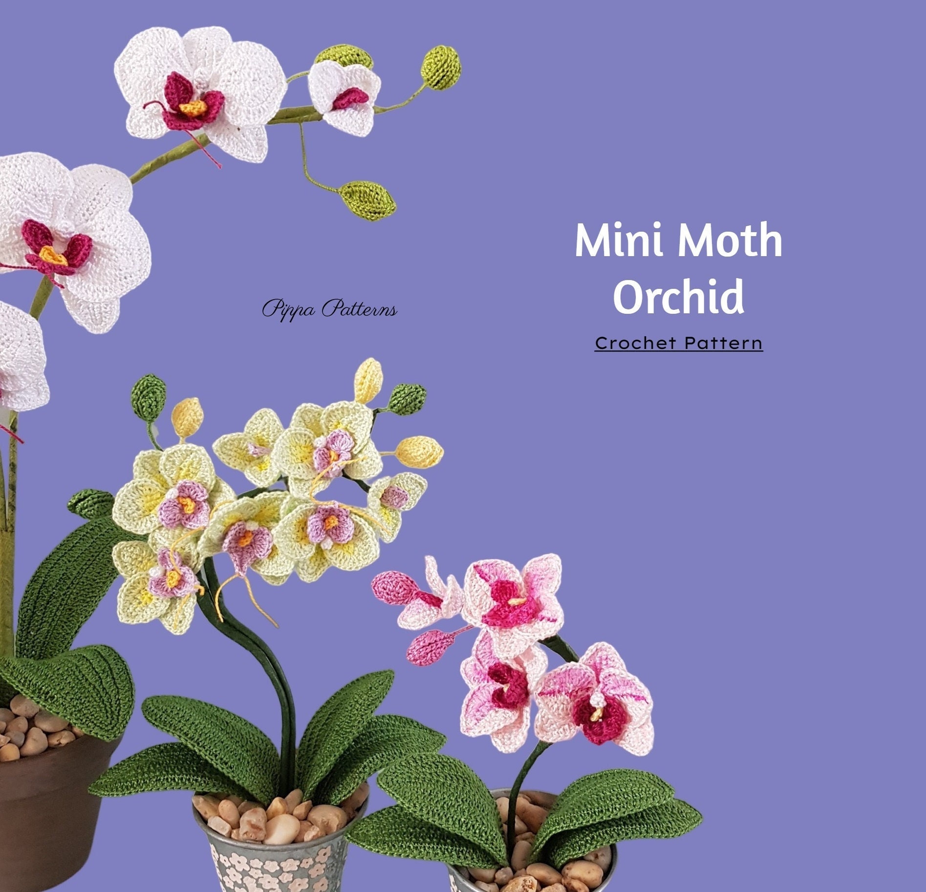 Crochet Mini Moth Orchid Pattern Photo Tutorial for Decor - Etsy