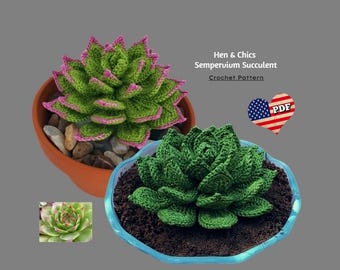 Hen & Chicks Crochet Plant Pattern: Sempervivum Succulent (PDF Pattern)