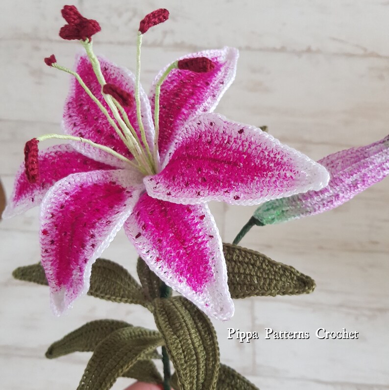 Crochet Stargazer Lily Flower Pattern photo tutorial Etsy