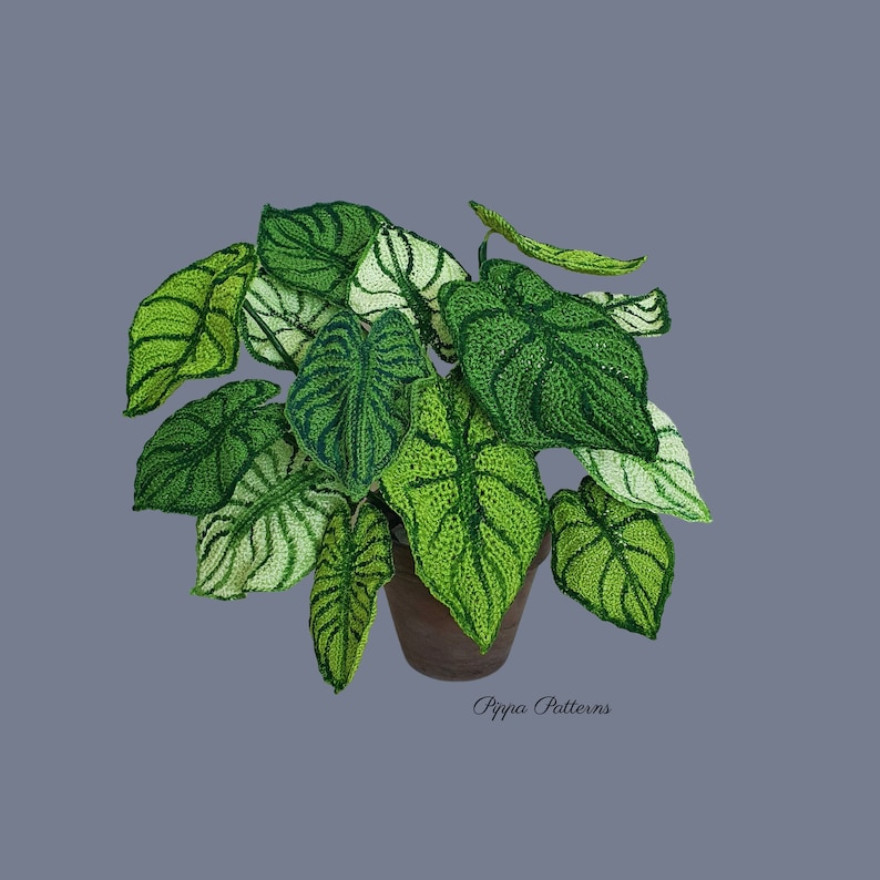 May include: A crocheted plant with green and white leaves in a brown pot. The plant is a replica of a Caladium plant. The text "Pippa Patterns" is visible at the bottom of the image.