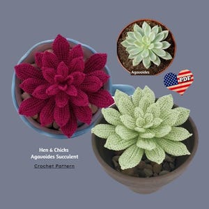 May include: Crochet pattern for a Hen & Chicks Agaveoides succulent. The pattern includes instructions for making a pink and a green succulent.