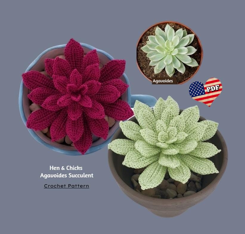Green red succulent - Etsy 日本