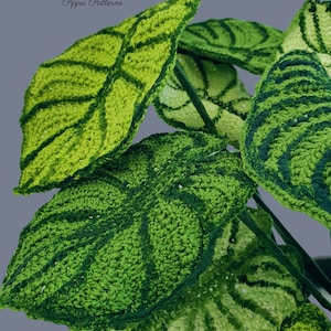 May include: Close-up of a crocheted plant with green and white leaves. The leaves have a textured, woven appearance. The plant is called "Pippa Patterns".