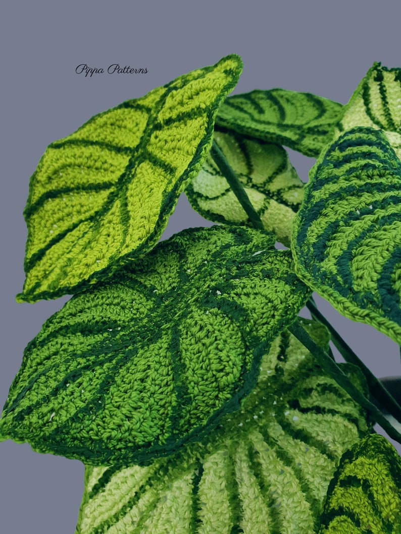 May include: Close-up of a crocheted plant with green and white leaves. The leaves have a textured, woven appearance. The plant is called "Pippa Patterns".