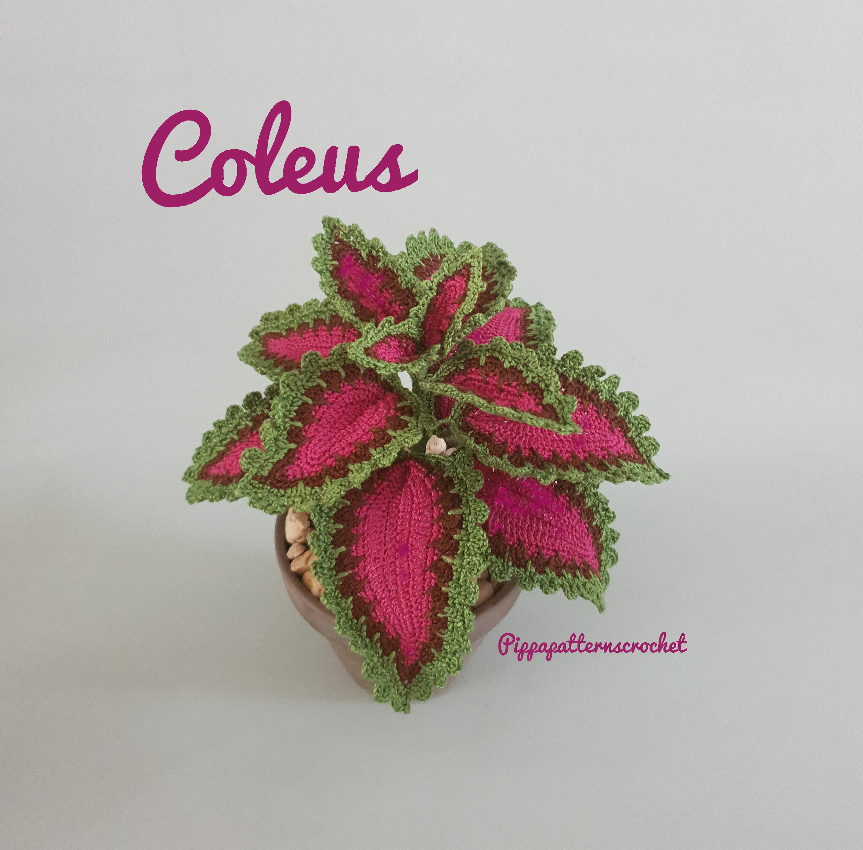 Crochet Coleus Pattern Photo Tutorial Crochet Coleus Plant Etsy