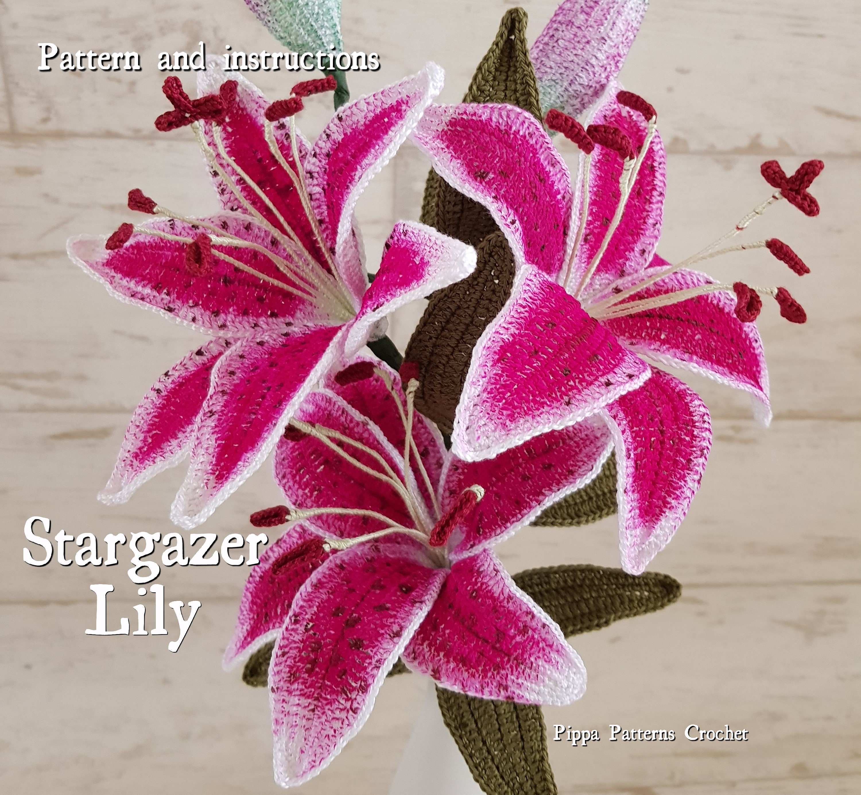 Lily pics stargazer Stargazer Lily: