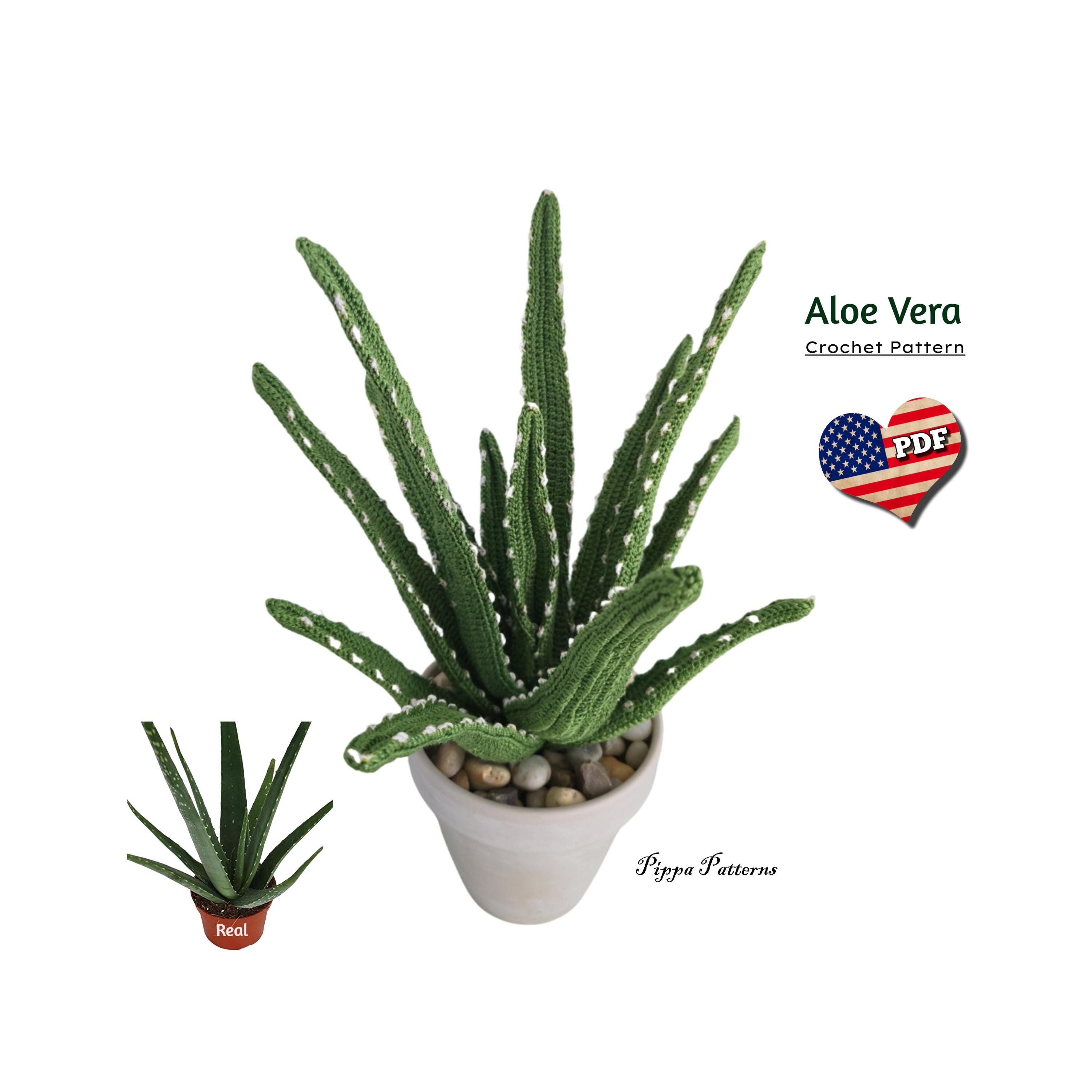 Aloe Vera Crochet Plant Pattern: Photo Tutorial (PDF Pattern) - Etsy