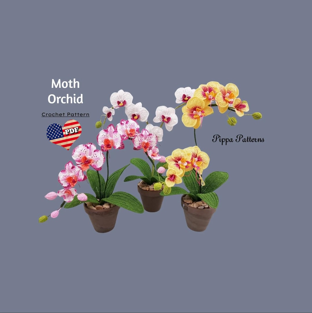 かぎ針編みの胡蝶蘭のパターン：写真チュートリアル（PDFパターン
