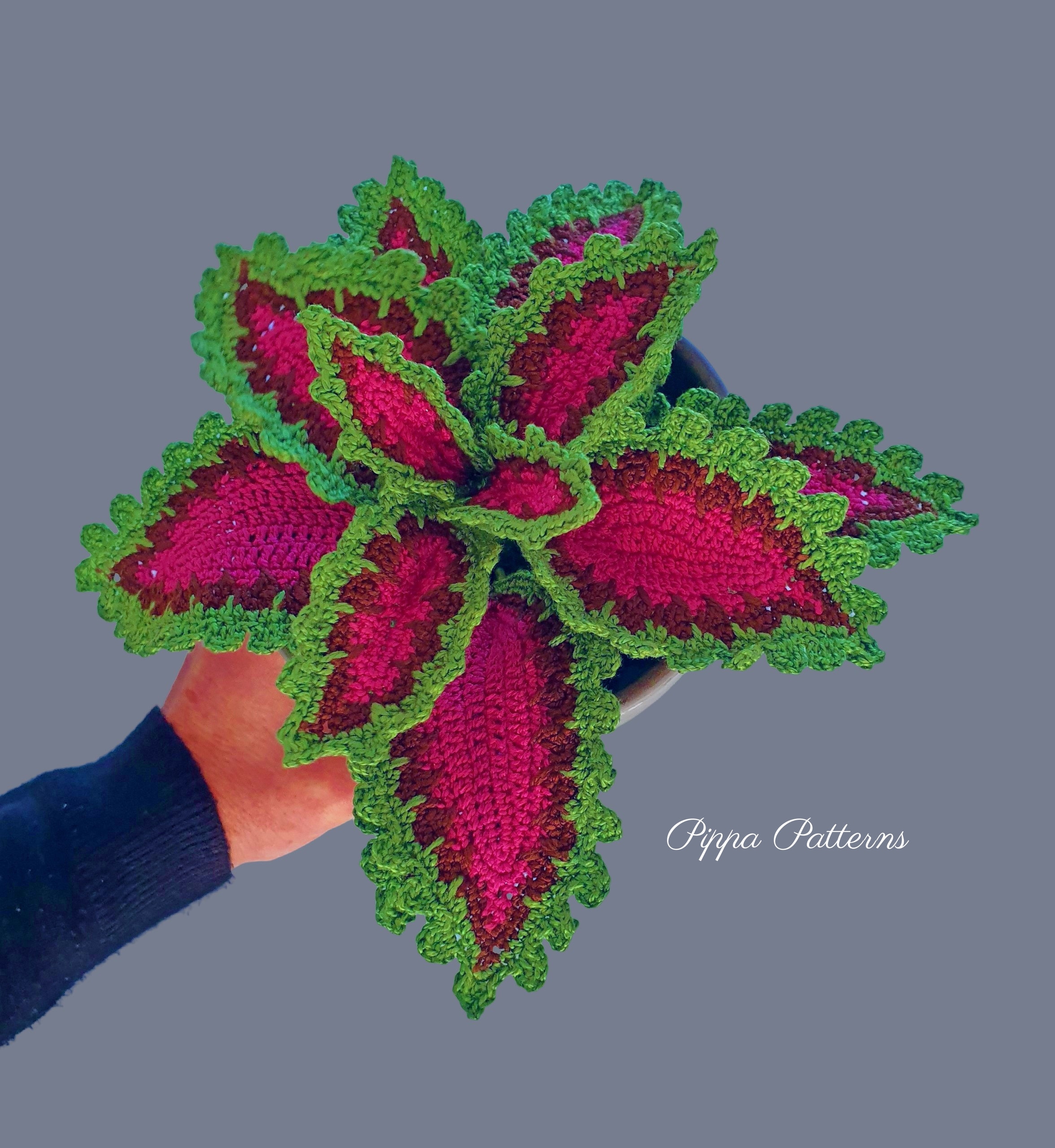 Crochet Coleus Pattern photo tutorial Crochet Coleus Plant Etsy France