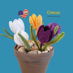 Foto-Anleitung für Krokusblumen