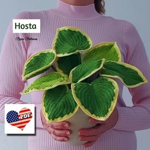 May include: A crocheted Hosta plant in a white pot. The plant has green leaves with yellow edges. The crocheted plant is being held by a person wearing a pink sweater. The image includes the text "Hosta" and "Pippa Patterns" and a heart with the text "PDF" and an American flag.