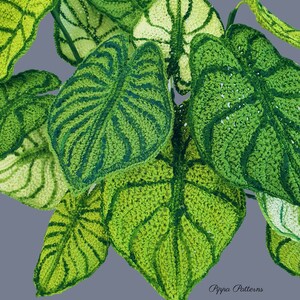 May include: A close-up of a crocheted plant with green leaves. The leaves have a detailed pattern and are arranged in a cluster. The text "Pippa Patterns" is visible in the bottom right corner of the image.