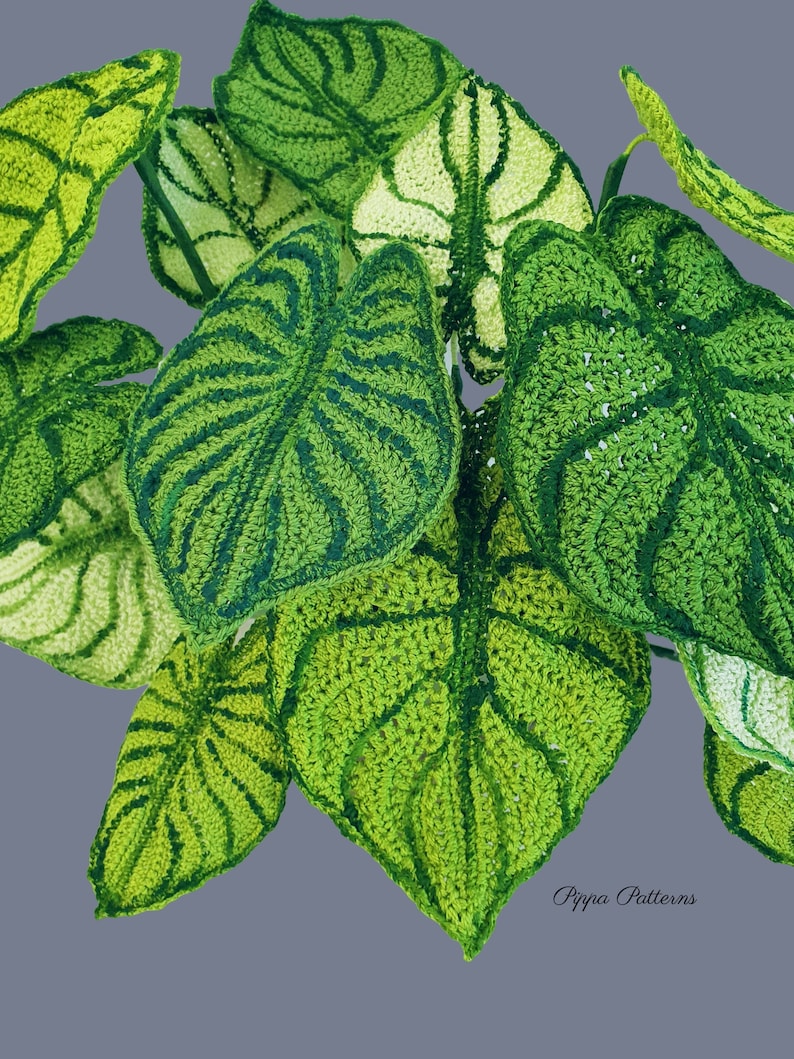 May include: A close-up of a crocheted plant with green leaves. The leaves have a detailed pattern and are arranged in a cluster. The text "Pippa Patterns" is visible in the bottom right corner of the image.