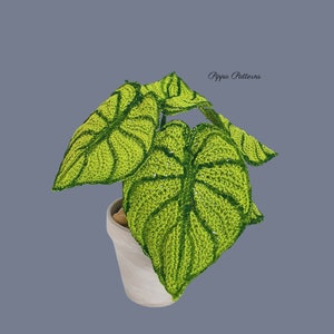 May include: A crocheted green plant with a white pot. The plant has large leaves with a detailed pattern. The text "Pippa Patterns" is visible in the upper right corner of the image.