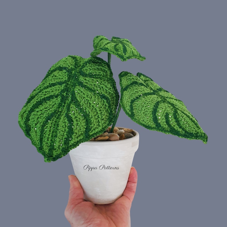 May include: A crocheted green plant with large leaves in a white pot. The pot has the text "Pippa Patterns" on the side.